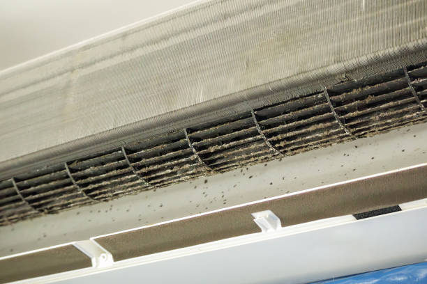 Best Dryer Vent Cleaning Services  in Jericho, NY